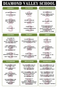 Diamond Valley School Expectations by Location:
Assembly:
1. Sitting correctly and facing forward
2. Keep your hands, feet, and objects to yourself.
3. Voice level 0

Bathroom:
1. Flush, pump, rinse, dry
2. Return to class and use walking feet
3. Voice level 0

Before/After School
1. Use crosswalk and be safe around people, cars, and busses
2. Use walking feet
3. Enter/Exit through assigned doors before school, line up in assigned spots, and after school: go home.

Cafeteria:
1. Stay seated, use time wisely, and raise your hand before leaving your seat
2. Keep your hands, feet, and objects to yourself, and use walking feet
3. Voice level 1-2 (whisper/quietly talking) and keep your area clean

Hallway:
1. Facing forward and use walking feet directly to your destination
2. Keep your hands, feet, and objects to yourself.
3. Voice level 0 and look with your eyes, not with your hands

Library:
1. Walking feet and quiet voices
2. Keep your hands, feet, and objects to yourself
3. Voice level 0-1, Be respectful to the books, and silent reading

Playground
1. Follow the directions the first time, and keep calm and in control
2. Keep your hands, feet, and objects to yourself
3. Include others and share equipment, and use equipment properly

Skills Room:
1. Follow directions of the skills teacher and practice the skill you are learning.
2. Keep your hands, feet, and objects to yourself, return to class, and use walking feet
3. Voice level 0 and Don't bother or interrupt other students who are also using the skills room

Technology:
1. Only use technology as directed by the teacher and use devices for academic purposes only
2. Only use devices that are assigned to you, and share or take turns on devices as instructed
3. Handle devices with care, use devices with clean hands, and use all equipment properly.