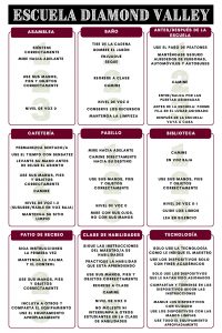 Diamond Valley School Expectations by Location:
Assembly:
1. Sitting correctly and facing forward
2. Keep your hands, feet, and objects to yourself.
3. Voice level 0

Bathroom:
1. Flush, pump, rinse, dry
2. Return to class and use walking feet
3. Voice level 0

Before/After School
1. Use crosswalk and be safe around people, cars, and busses
2. Use walking feet
3. Enter/Exit through assigned doors before school, line up in assigned spots, and after school: go home.

Cafeteria:
1. Stay seated, use time wisely, and raise your hand before leaving your seat
2. Keep your hands, feet, and objects to yourself, and use walking feet
3. Voice level 1-2 (whisper/quietly talking) and keep your area clean

Hallway:
1. Facing forward and use walking feet directly to your destination
2. Keep your hands, feet, and objects to yourself.
3. Voice level 0 and look with your eyes, not with your hands

Library:
1. Walking feet and quiet voices
2. Keep your hands, feet, and objects to yourself
3. Voice level 0-1, Be respectful to the books, and silent reading

Playground
1. Follow the directions the first time, and keep calm and in control
2. Keep your hands, feet, and objects to yourself
3. Include others and share equipment, and use equipment properly

Skills Room:
1. Follow directions of the skills teacher and practice the skill you are learning.
2. Keep your hands, feet, and objects to yourself, return to class, and use walking feet
3. Voice level 0 and Don't bother or interrupt other students who are also using the skills room

Technology:
1. Only use technology as directed by the teacher and use devices for academic purposes only
2. Only use devices that are assigned to you, and share or take turns on devices as instructed
3. Handle devices with care, use devices with clean hands, and use all equipment properly.